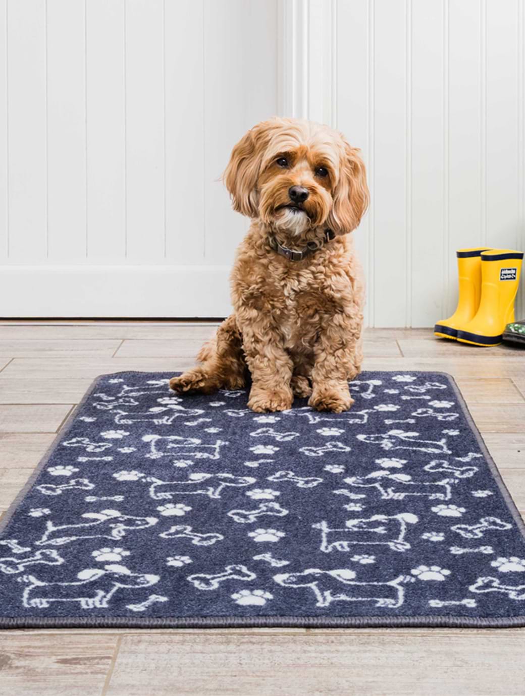 EXTRA LARGE CARTOON Blue One Size
