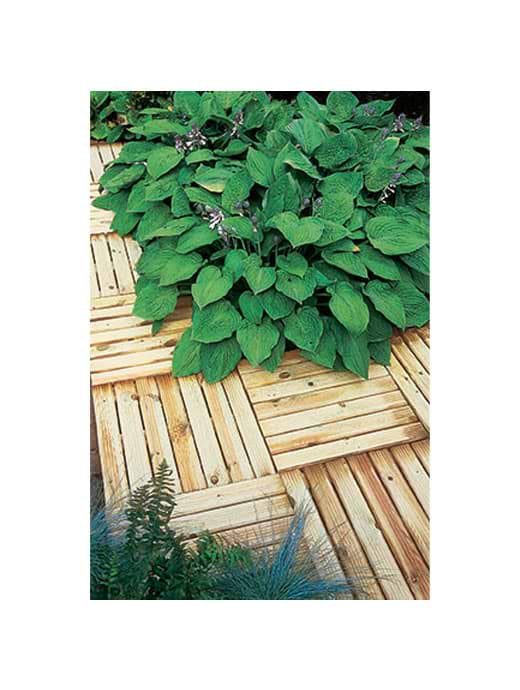 Forest Garden Ridged Deck Tile 50x50cm (Pack of 4)