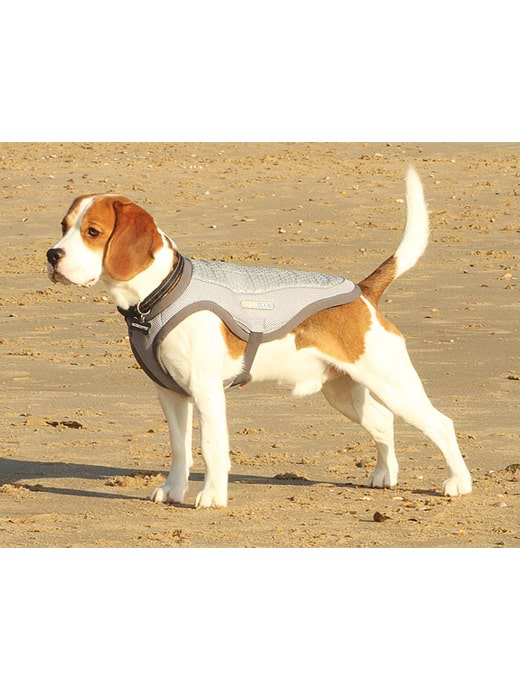 George Barclay Climacool Dog Jacket 