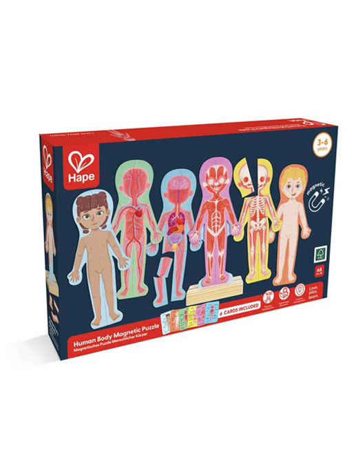 Hape Human Body Magnetic Puzzle