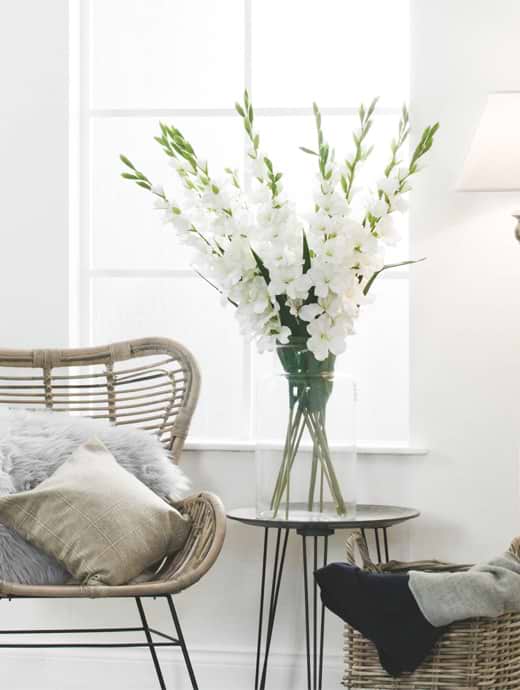 Hill Interiors White Gladioli