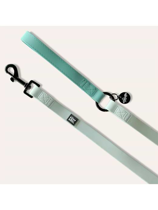 The Adorable Pooch Company Hydroflex Waterproof Lead Frosted Mint