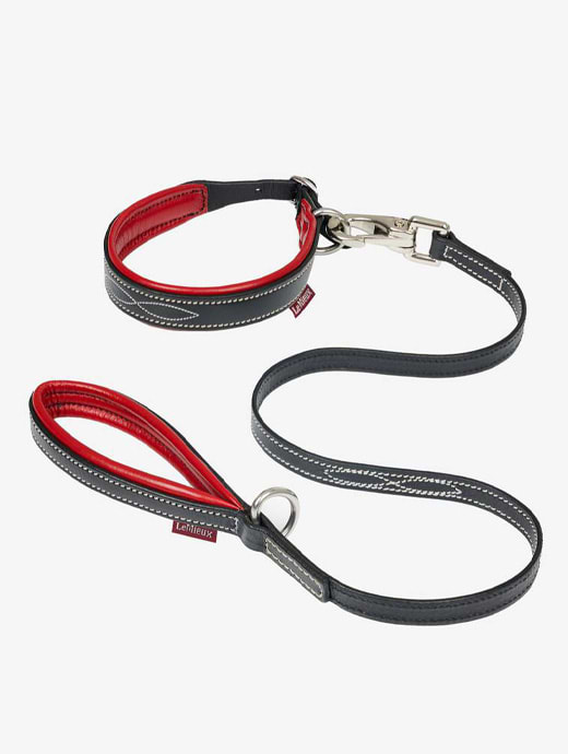LeMieux Toy Puppy Collar & Lead Chilli