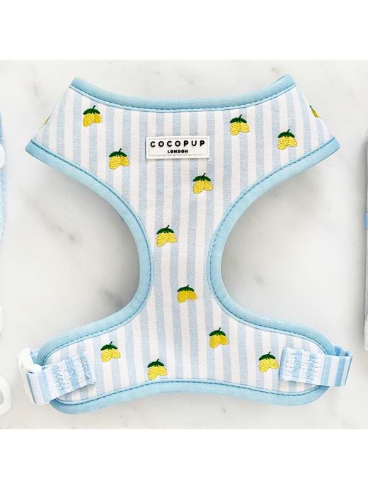 Cocopup London Adjustable Neck Harness Living La Vida Lemon