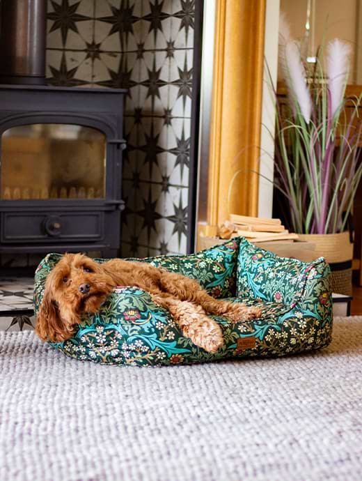 Morris & Co Blackthorn Small Square Bed