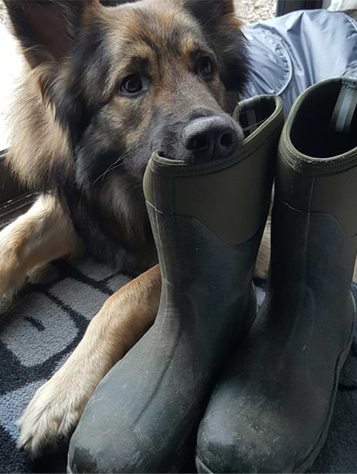 Muck Boots Men s Muckmaster Mid Boots Moss