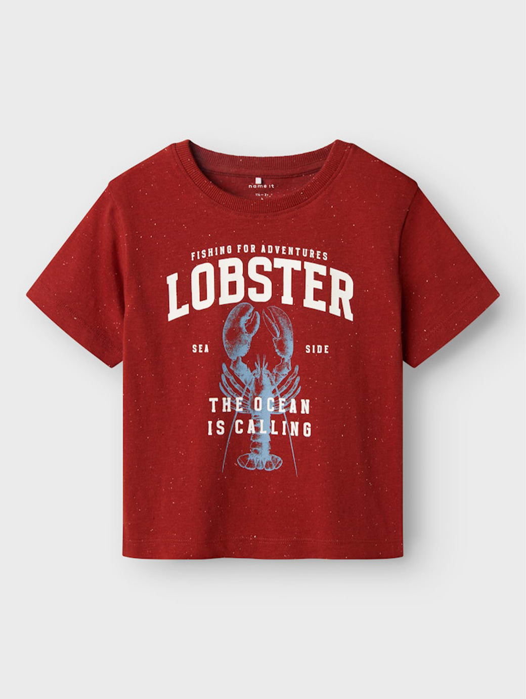 Name It Mini Boy's Fabi Short Sleeve Top Red Ochre
