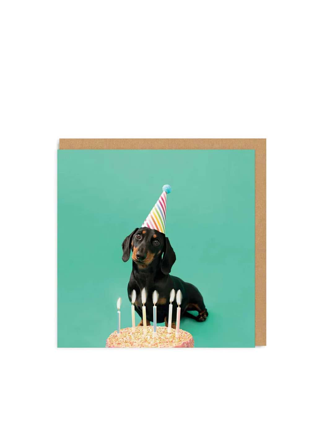 Ohh Deer Scout Party Hat Greeting Card