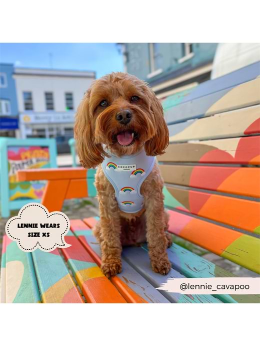 Rainbow harness for dogs store