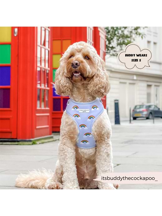 Cocopup London Luxe Adjustable Neck Harness Over The Rainbow