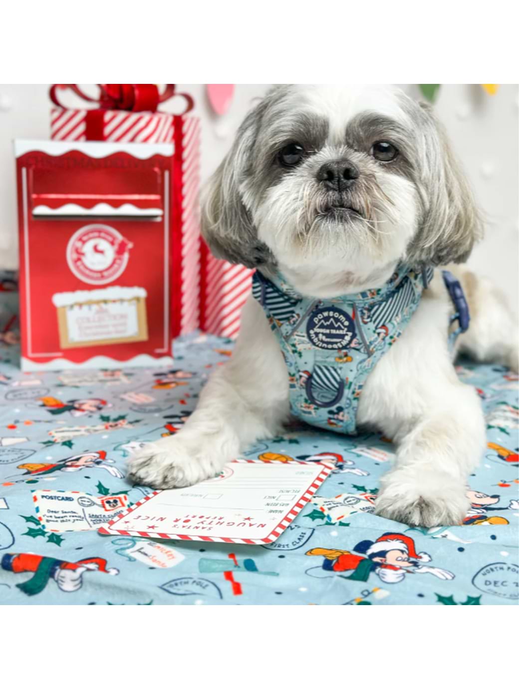 Pawsome Paws Boutique Disney Dog Blanket Santas Mickey Mail