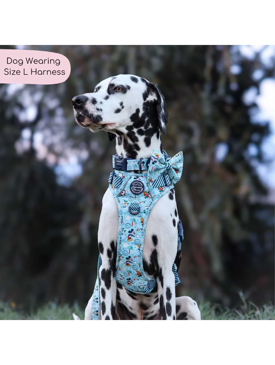 Mickey dog harness hot sale