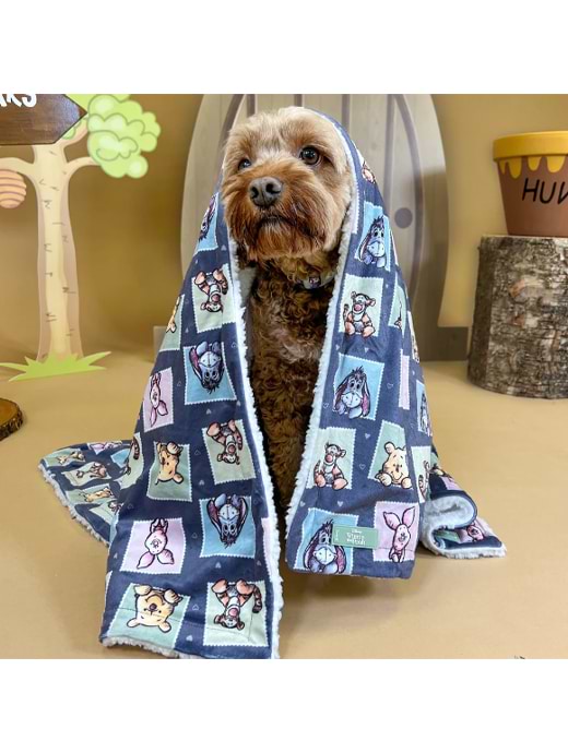 Pawsome Paws Boutique Dog Blanket Winnie Friends