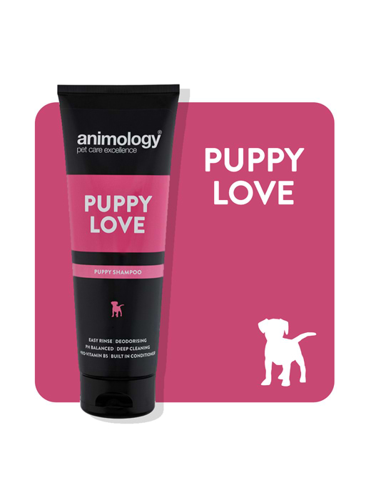 Animology Puppy Love Shampoo 250ml
