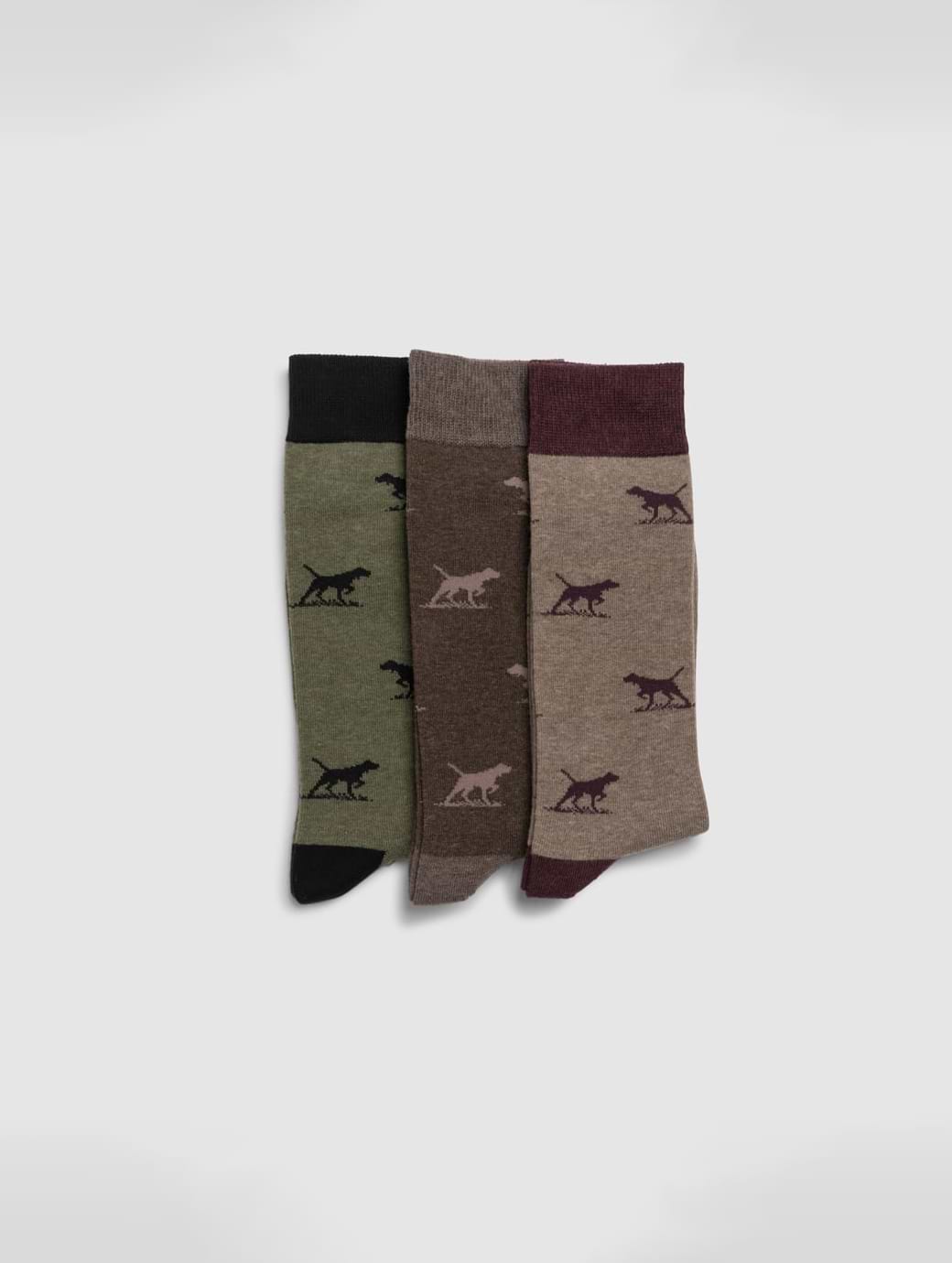 Rodd & Gunn Men's Dogs-A-Plenty Three Pack Socks Earth Multi