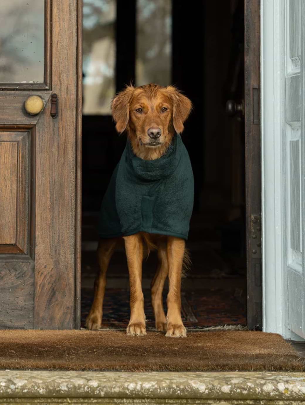 Ruff And Tumble Classic Dog Drying Coat Forest