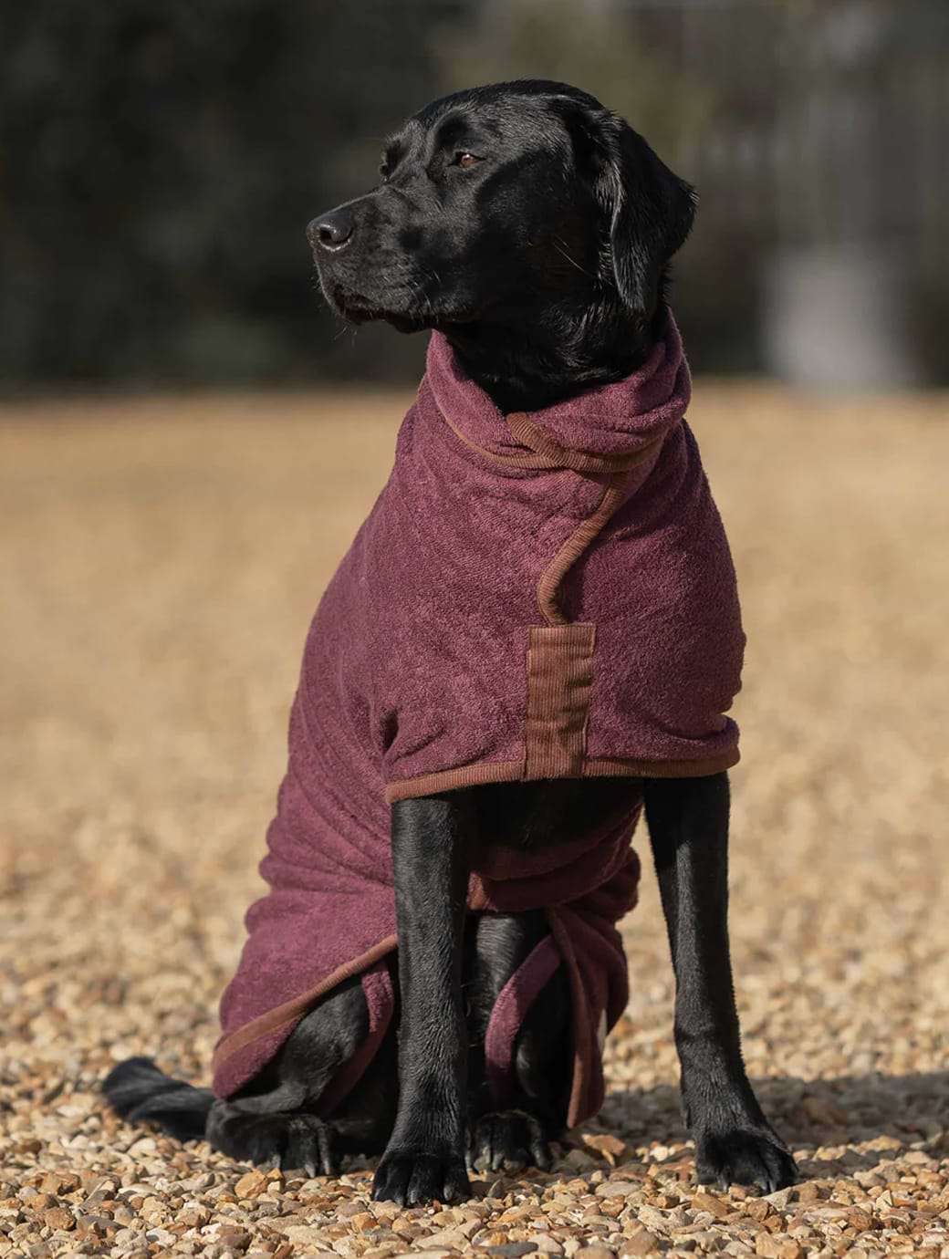 Ruff And Tumble Country Dog Drying Coat Burgundy