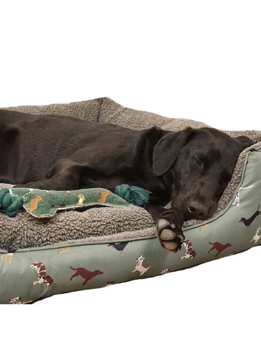 Sophie allport dog bed medium cheap