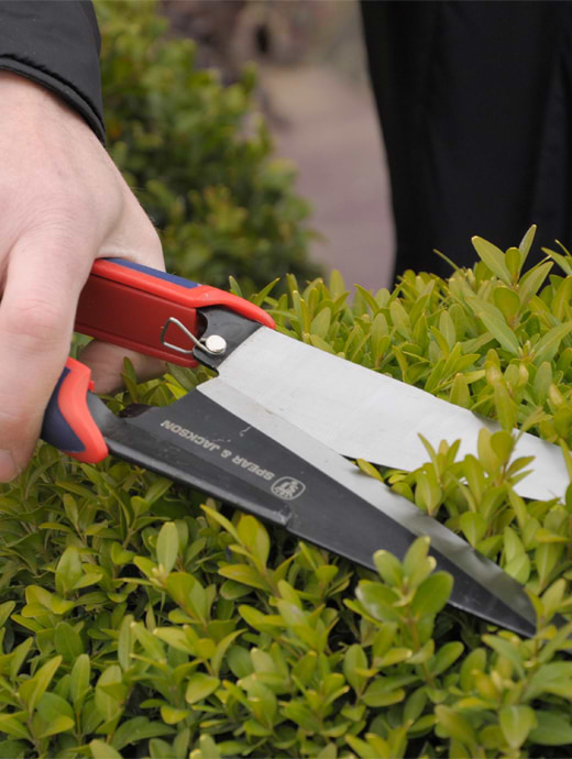 Spear and jackson razorsharp shears discount