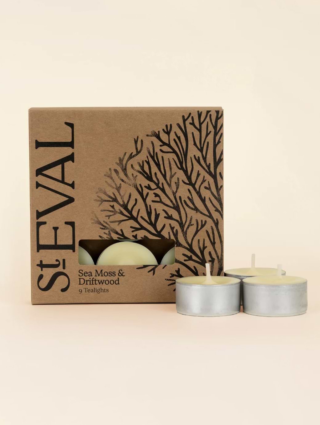 St Eval Candles Scented Tealights Sea Moss & Driftwood