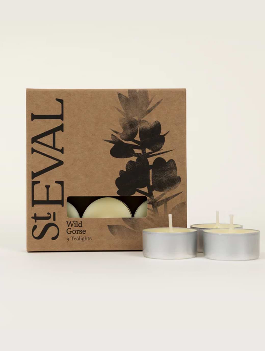 St Eval Scented Tealights Wild Gorse