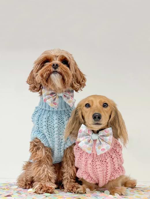 The Adorable Pooch Company Hand Knitted Dachshund Knitted Jumper Pink