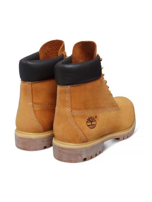 Tim hortons x timberland 6-inch premium boot discount