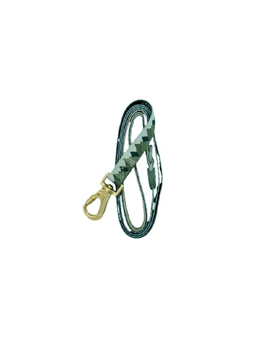 Pawsome Paws Boutique Walkies Ready Lead Forest Green