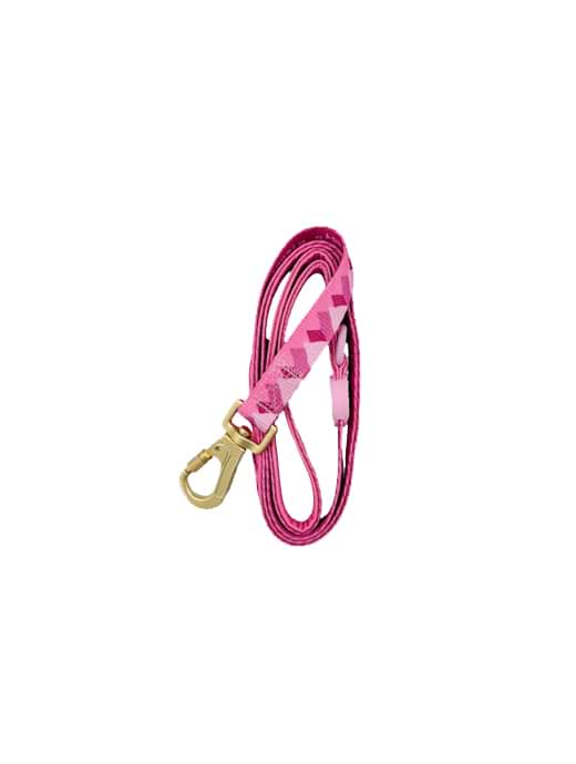 Pawsome Paws Boutique Walkies Ready Lead Raspberry Pink