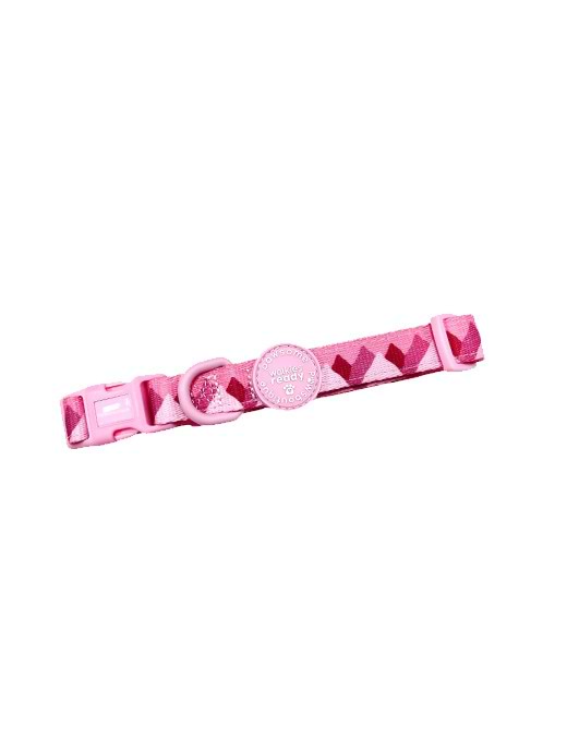 Pawsome Paws Boutique Walkies Ready Collar Raspberry Pink