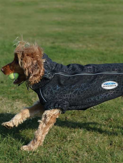 Weatherbeeta Comfitec Reflective Print Active Dog Coat Black/ Reflective Rainbow