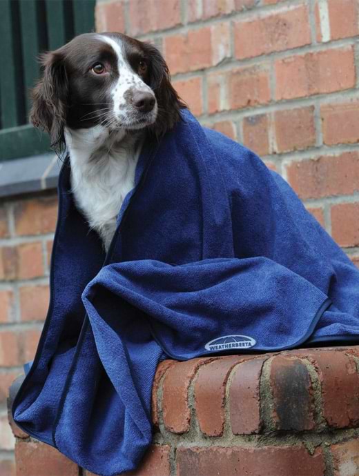 Weatherbeeta Dog Towel Blue