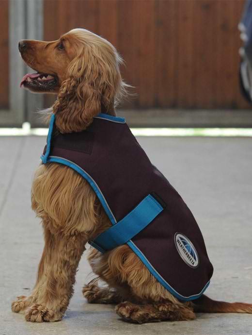 Weatherbeeta Comfitec Premier Free Parka Dog Coat Medium Grape Purple Blue