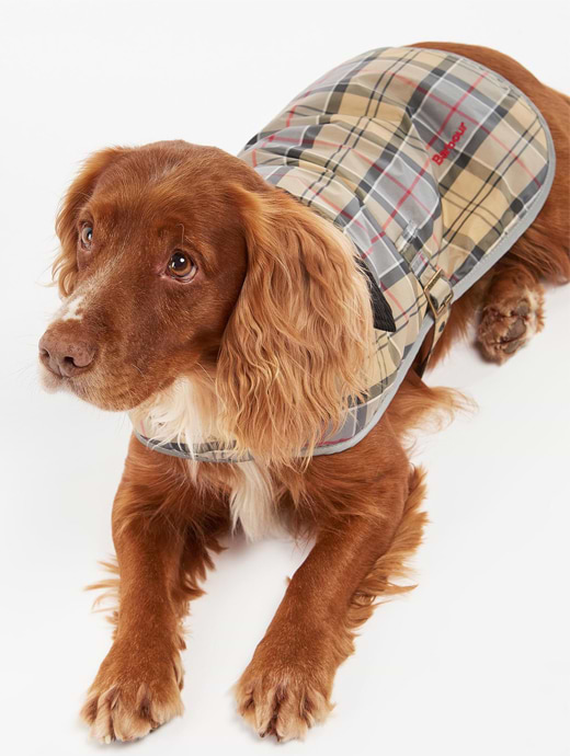 Barbour Wetherham Dog Coat Dress Tartan