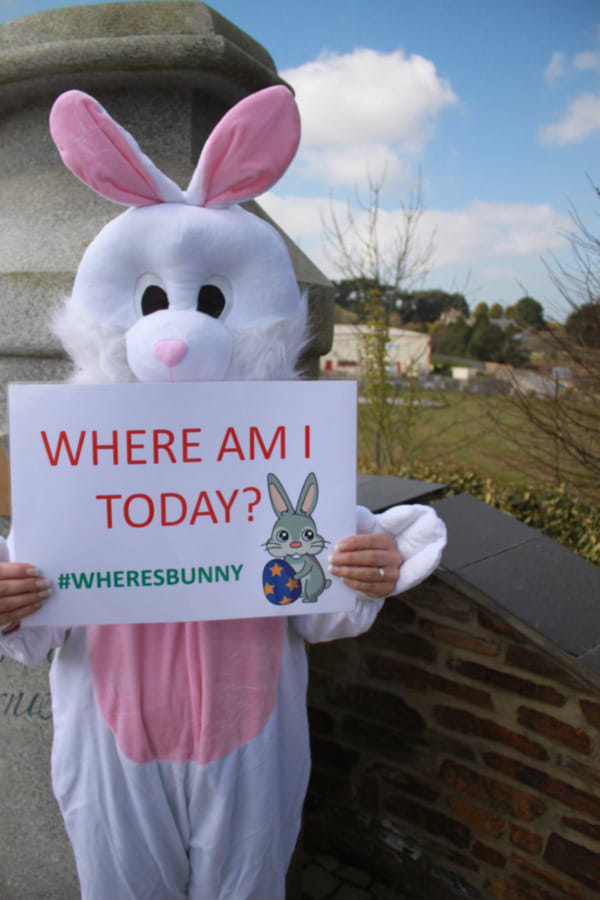 Day Two ... #WheresBunny
