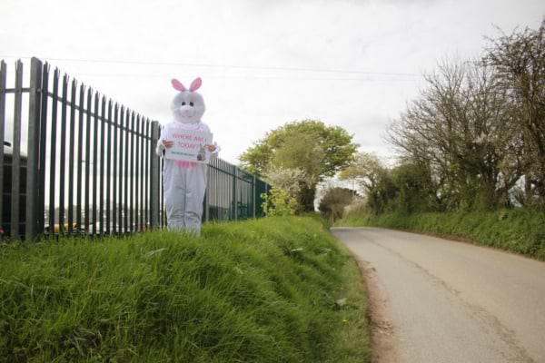 Day Six ... #wheresbunny