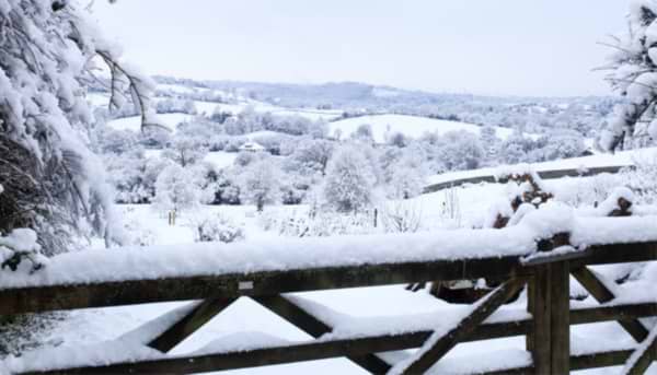 January Brings the Snow