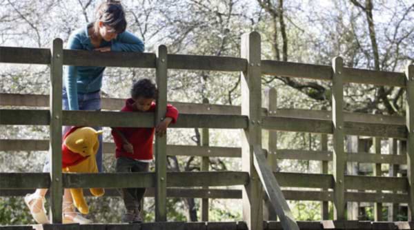 Winnie-the-Pooh: Poohsticks