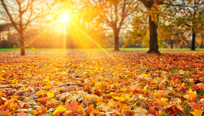 John Keats: To Autumn
