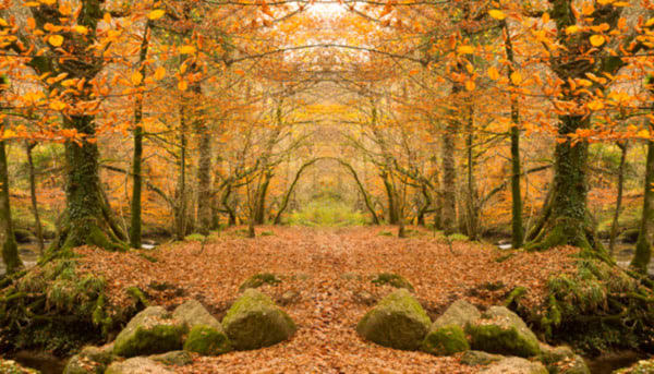 The Many Colours of an Autumnal Countryside