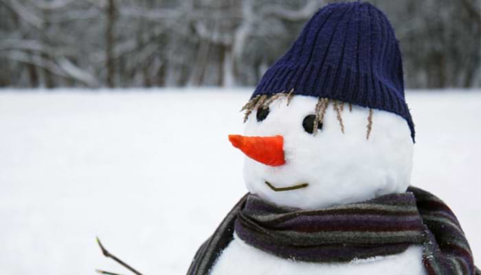 The Snowman: We're Walking in the Air
