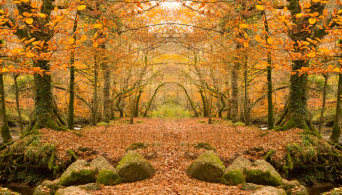 The Many Colours of an Autumnal Countryside