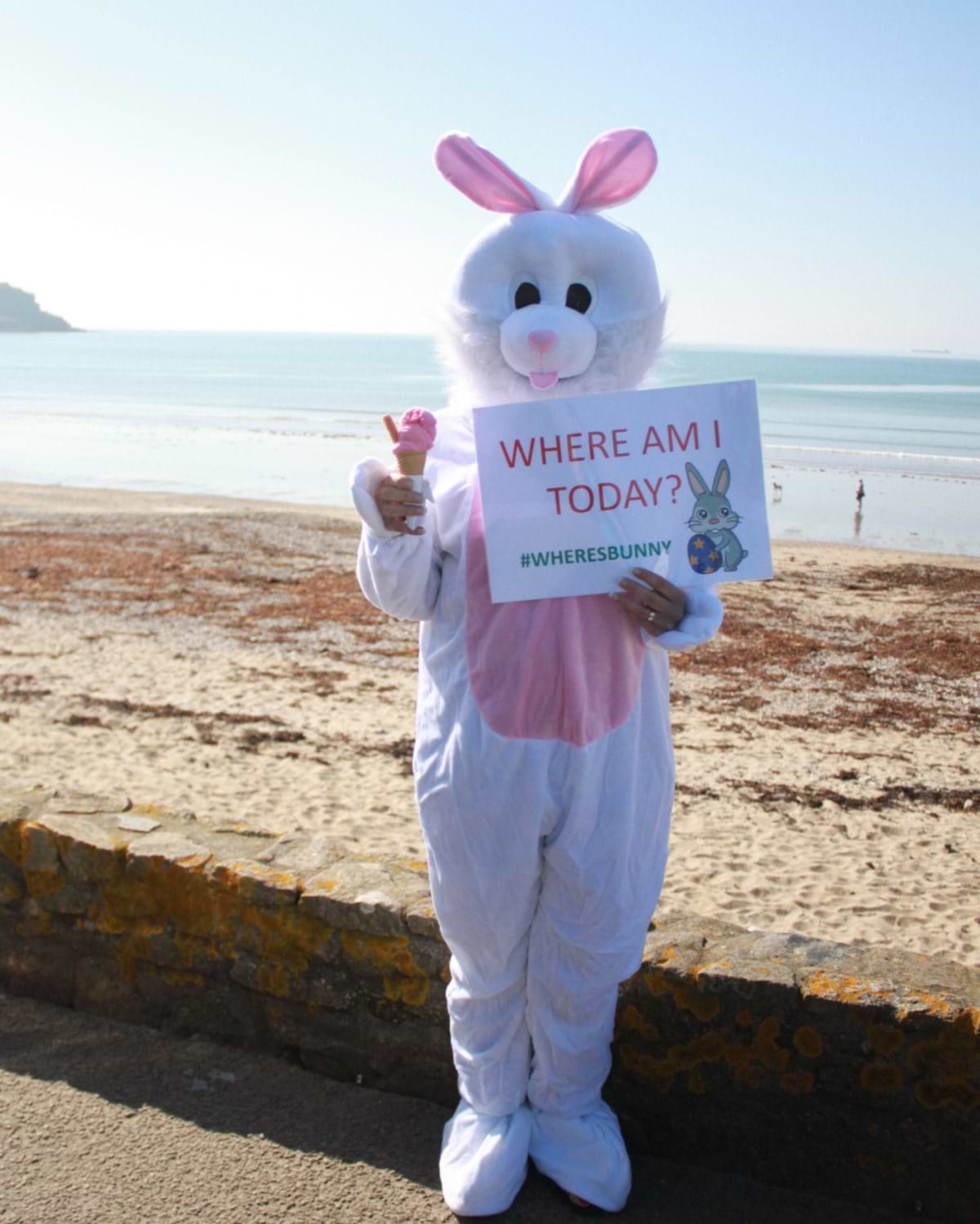 Day Three...#WheresBunny