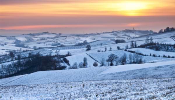 Emily Bronte: A Wreath of Snow