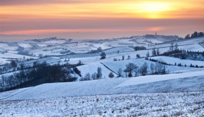 Emily Bronte: A Wreath of Snow