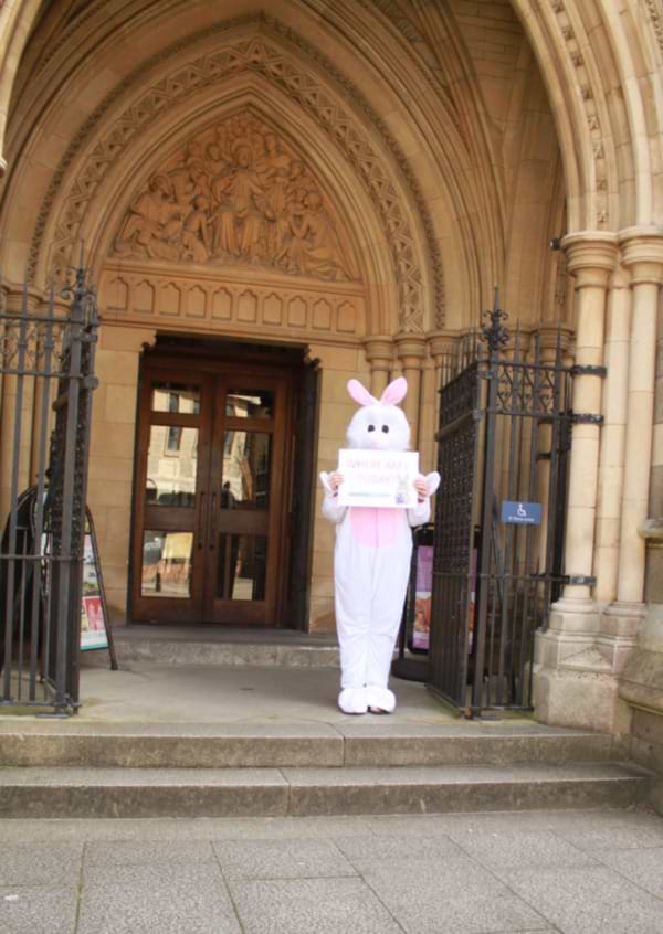 Day Five ... #wheresbunny