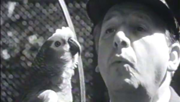 Johnny Morris: Animal Magic