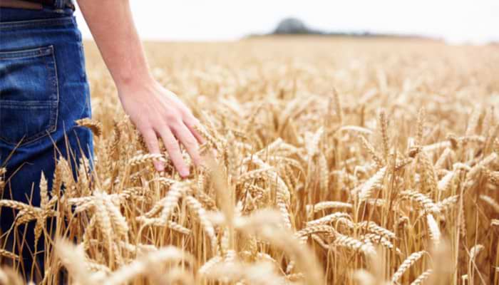 We Plough the Fields and Scatter