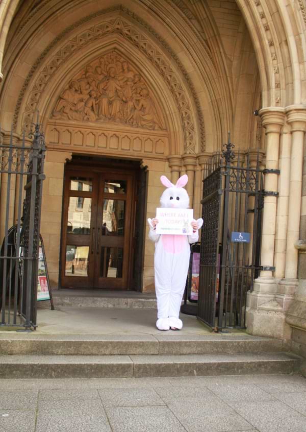 Day Five ... #wheresbunny