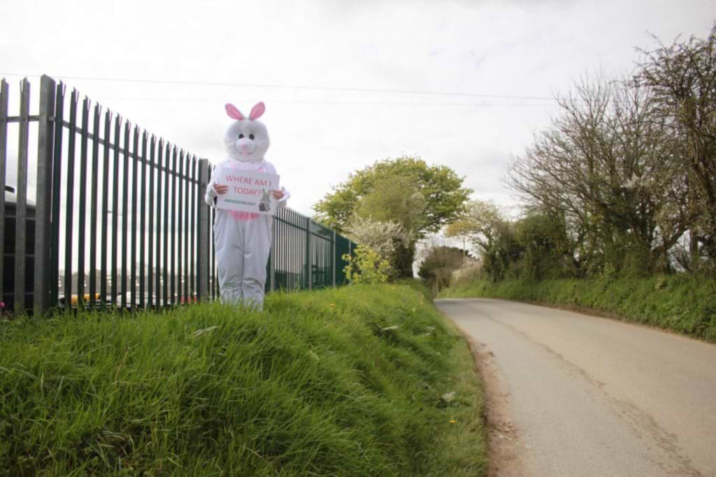 Day Six ... #wheresbunny